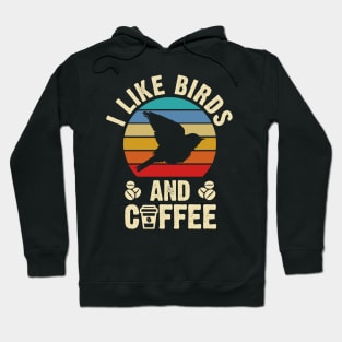 I like Birds and Coffee Funny Vintage Retro Birds Lovers Hoodie